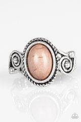 Paparazzi Cactus Creek - Brown Stone - Silver Ring - The Jewelry Box Collection 